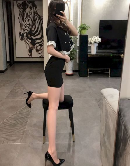 铿锵锵锵锵免费观看免下载